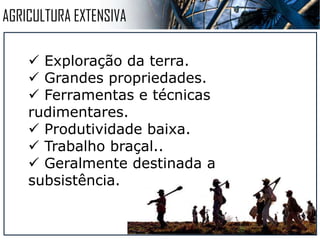 TIPOS DE AGRICULTURA
INTENSIVA EXTENSIVA
 