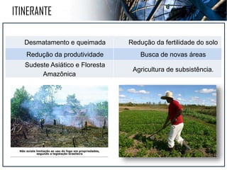 AGRICULTURA EXTENSIVA
 Exploração da terra.
 Grandes propriedades.
 Ferramentas e técnicas rudimentares.
 Produtividade baixa.
 Geralmente destinada a subsistência.
 Trabalho braçal..
 