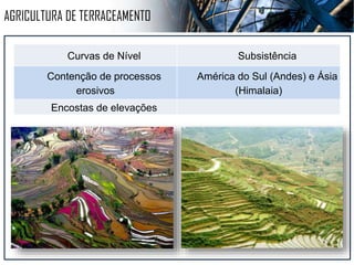 ITINERANTE
Desmatamento e queimada Redução da fertilidade do solo
Redução da produtividade Constante busca por novas áreas
Sudeste Asiático e Floresta Amazônica Agricultura de subsistência.
 