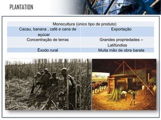 AGRICULTURA DE JARDINAGEM
Solos Inundáveis Produtividade alta
Fertilizantes e sementes
selecionadas
Adubação Orgânica Rizicultura Conservação do solo
Trabalho braçal
Sul e Sudeste
Asiático
Subsistência –
Peq. Propriedades
 