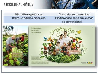 PLANTATION
Monocultura (único tipo de produto)
Cacau, banana , café e cana de açúcar Destinado a exportação
Concentração de terras Grandes propriedades – Latifúndios
Ocorreu no Brasil Colonial. Muita mão de obra barata
 