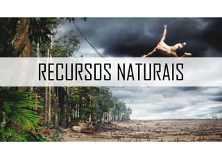 RECURSOS NATURAIS
 