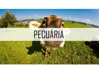AGRICULTURA HIDROPÔNICA
Não há a necessidade de solo É utilizado uma solução com nutrientes
Uso racional de água e fertilizantes Necessita conhecimentos técnicos
Produtos limpos e de qualidade Dependência de energia elétrica
Maior produção por área Maior investimento inicial
 