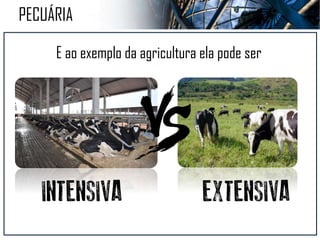 Criação
Domesticação e
Reprodução de animais
PECUÁRIA
 