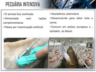 E ao exemplo da agricultura ela pode ser
PECUÁRIA
INTENSIVA EXTENSIVA
 