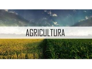 O turismo rural e a industrialização de produtos naturais como frutas em
geléias fazem parte dessa paisagem
PAISAGENS QUE COMPOEM
O ESPAÇO RURAL
 