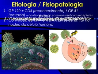 Etiologia / Fisiopatologia
1. GP 120 + CD4 (reconhecimento) / GP 41
(entrada) = coalescência do envelope viral com receptores
2. Conversão do RNA em DNA antes de entrar no
núcleo da célula humana
3. Transcriptase reversa ( RNAviral DNA)4. Integrase (Genoma hospedeiro)5. Genoma Viral subunidades de HIV
protease
6. Lise celular
 