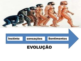 Instinto sensações Sentimentos
EVOLUÇÃO
 