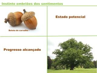 Estado potencial
Progresso alcançado
Bolota do carvalho -
Instinto embriões dos sentimentos
 