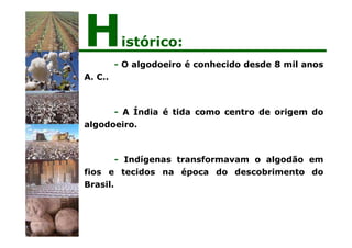 - O algodoeiro é conhecido desde 8 mil anos
A. C..
- A Índia é tida como centro de origem do
algodoeiro.
- Indígenas transformavam o algodão em
fios e tecidos na época do descobrimento do
Brasil.
Histórico:
 