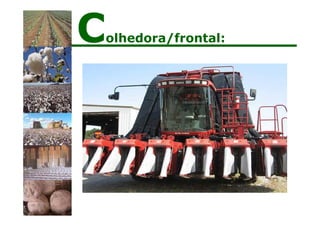 Colhedora/frontal:
 
