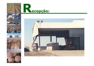 Recepção:
 