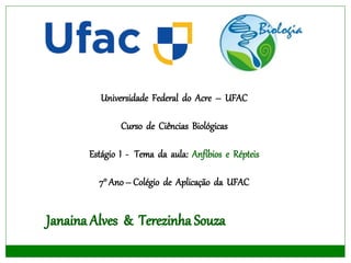 Universidade Federal do Acre – UFAC
Curso de Ciências Biológicas
Estágio I - Tema da aula: Anfíbios e Répteis
7° Ano – Colégio de Aplicação da UFAC
 
