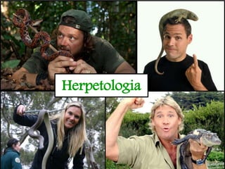 Herpetologia
 