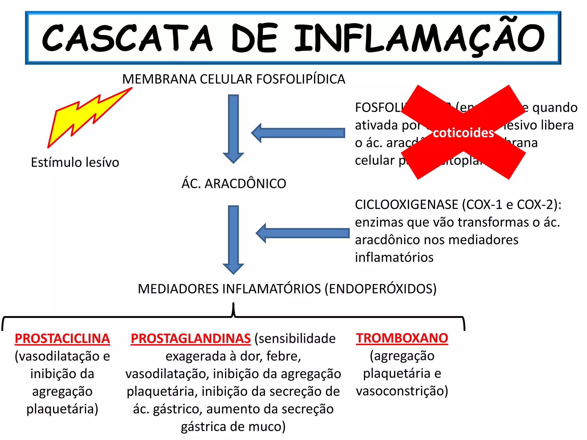CASCATA DE INFLAMAÇÃO
                    MEMBRANA CELULAR FOSFOLIPÍDICA
                                                        FOSFOLIPASE A2 (enzima que quando
                                                        ativada por um estímulo lesivo libera
                                                                      coticoides
                                                        o ác. aracdônico da membrana
  Estímulo lesívo                                       celular para o citoplama)
                             ÁC. ARACDÔNICO
                                                        CICLOOXIGENASE (COX-1 e COX-2):
                                                        enzimas que vão transformas o ác.
                                                        aracdônico nos mediadores
                                                        inflamatórios

                      MEDIADORES INFLAMATÓRIOS (ENDOPERÓXIDOS)


PROSTACICLINA        PROSTAGLANDINAS (sensibilidade TROMBOXANO
(vasodilatação e           exagerada à dor, febre,         (agregação
   inibição da      vasodilatação, inibição da agregação plaquetária e
    agregação       plaquetária, inibição da secreção de vasoconstrição)
  plaquetária)       ác. gástrico, aumento da secreção
                              gástrica de muco)
 