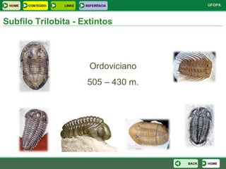 Subfilo Trilobita - Extintos Ordoviciano 505 – 430 m. HOME BACK HOME LINKS CONTEÚDO REFERÊNCIA 