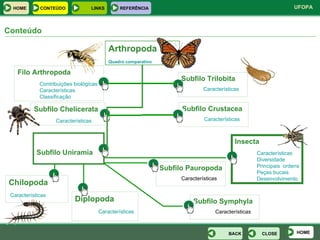 Conteúdo Arthropoda Quadro comparativo Filo Arthropoda Contribuições biológicas Características Classificação Subfilo Uniramia Insecta Características Diversidade Principais  ordens Peças bucais Desenvolvimento Chilopoda 	 Características Subfilo Crustacea Características Subfilo Chelicerata Características Diplopoda   Características Subfilo Pauropoda Características Subfilo Symphyla Características Subfilo Trilobita Características HOME CLOSE BACK HOME LINKS CONTEÚDO REFERÊNCIA 
