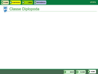 Classe Diplopoda HOME CLOSE BACK HOME LINKS CONTEÚDO REFERÊNCIA 