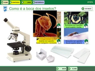 Como é a boca dos insetos? Abelhas tem aparelho bucal mastigador e lambedor. Mosquitos tem aparelho Bucal sugador labial 6. Borboletas tem aparelho bucal sugador maxilar. Ants have mouths for chewing. GO BACK CLOSE BACK HOME LINKS CONTEÚDO REFERÊNCIA 