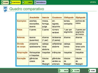 Quadro comparativo HOME CLOSE BACK HOME LINKS CONTEÚDO REFERÊNCIA 