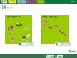 Links HOME HOME REFERÊNCIA ACTIVITY LINKS CONTENTS CLOSE BACK GO TO WEBSITE Virtual Worm Tour GO TO WEBSITE The Shape of Life 
