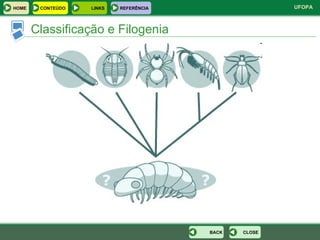 Classificação e Filogenia CLOSE BACK HOME LINKS CONTEÚDO REFERÊNCIA 