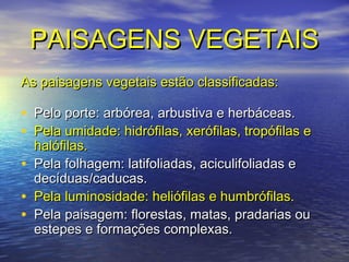 PAISAGENS VEGETAISPAISAGENS VEGETAIS
As paisagens vegetais estão classificadas:As paisagens vegetais estão classificadas:
• Pelo porte: arbórea, arbustiva e herbáceas.Pelo porte: arbórea, arbustiva e herbáceas.
• Pela umidade: hidrófilas, xerófilas, tropófilas ePela umidade: hidrófilas, xerófilas, tropófilas e
halófilas.halófilas.
• Pela folhagem: latifoliadas, aciculifoliadas ePela folhagem: latifoliadas, aciculifoliadas e
decíduas/caducas.decíduas/caducas.
• Pela luminosidade: heliófilas e humbrófilas.Pela luminosidade: heliófilas e humbrófilas.
• Pela paisagem: florestas, matas, pradarias ouPela paisagem: florestas, matas, pradarias ou
estepes e formações complexas.estepes e formações complexas.
 