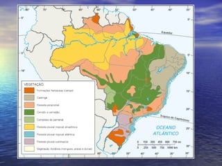 Aspectos gerais do Brasil