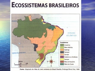  Aspectos gerais do Brasil