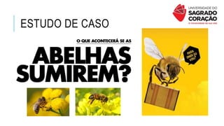 ESTUDO DE CASO
 