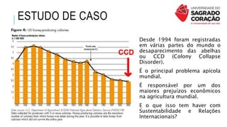 ESTUDO DE CASO
Desde 1994 foram registradas
em várias partes do mundo o
desaparecimento das abelhas
ou CCD (Colony Collapse
Disorder).
É o principal problema apícola
mundial.
É responsável por um dos
maiores prejuízos econômicos
na agricultura mundial.
E o que isso tem haver com
Sustentabilidade e Relações
Internacionais?
 