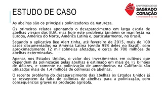 As abelhas são os principais polinizadores da natureza.
Os primeiros relatos apontando o desaparecimento em larga escala de
abelhas vieram dos EUA, mas hoje este problema também se manifesta na
Europa, América do Norte, América Latina e, particularmente, no Brasil.
Segundo o aplicativo Bee Alert tinha, até fevereiro de 2015, mais de 100
casos documentados na América Latina (sendo 95% deles no Brasil), com
aproximadamente 12 mil colmeias afetadas, e cerca de 700 milhões de
abelhas exterminadas.
Apenas nos Estados Unidos, o valor dos investimentos em cultivos que
dependem da polinização pelas abelhas é estimado em mais de 15 bilhões
de dólares, e somente na polinização de amendoeiras na Califórnia são
utilizadas mais de 1,4 milhões de colmeias de abelhas.
O recente problema do desaparecimento das abelhas os Estados Unidos já
se ressentem da falta de colônias de abelhas para a polinização, com
consequências graves na produção agrícola.
ESTUDO DE CASO
 