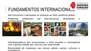 FUNDAMENTOS INTERNACIONAIS
São crescentes e alarmantes as ameaças ao meio ambiente global.
Problemas ambientais são internacionais, interligados e
transfronteiriços.
Interdependência dos ecossistemas a nível mundial é incompatível
com a gestão isolada dos recursos por cada Estado.
Necessidade de mudanças nos nossos valores sociais, culturais e
 