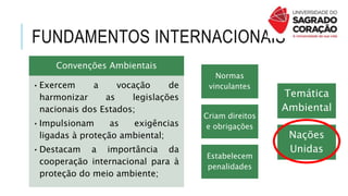 FUNDAMENTOS INTERNACIONAIS
Convenções Ambientais
•Exercem a vocação de
harmonizar as legislações
nacionais dos Estados;
•Impulsionam as exigências
ligadas à proteção ambiental;
•Destacam a importância da
cooperação internacional para à
proteção do meio ambiente;
Normas
vinculantes
Criam direitos
e obrigações
Estabelecem
penalidades
Temática
Ambiental
Nações
Unidas
 