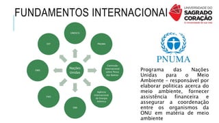 FUNDAMENTOS INTERNACIONAIS
Nações
Unidas
UNESCO
OIT
OMS
FAO
OMI
Agência
Internacional
de Energia
Atômica
Comissão
Internacional
sobre Pesca
das Baleias
PNUMA
Programa das Nações
Unidas para o Meio
Ambiente - responsável por
elaborar politicas acerca do
meio ambiente, fornecer
assistência financeira e
assegurar a coordenação
entre os organismos da
ONU em matéria de meio
ambiente
 