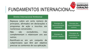 FUNDAMENTOS INTERNACIONAIS
Direito Internacional Ambiental
• Repousa sobre um certo número de
princípios, afirmados em declarações e
programas de ação e inscritos em
numerosas convenções;
• Não são excludentes, mas
complementam e relativizam uns aos
outros;
• Ramificam-se em um conjunto de
subprincípios que têm por objetivo
precisar os contornos de sua aplicação;
Princípio do
desenvolvimento
sustentável;
Princípio das
responsabilidades
comuns;
Princípio do
poluidor-pagador;
Princípios da
prevenção e da
precaução;
 