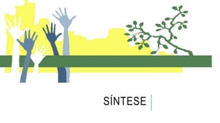 SÍNTESE
 