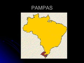 PAMPAS 