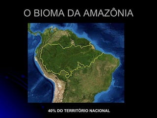 O BIOMA DA AMAZÔNIA 40% DO TERRITÓRIO NACIONAL 