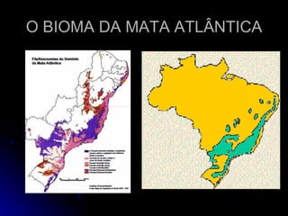 O BIOMA DA MATA ATLÂNTICA 