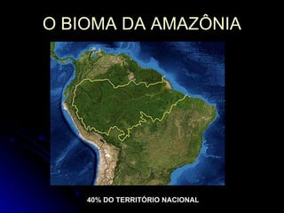 O BIOMA DA AMAZÔNIA 40% DO TERRITÓRIO NACIONAL 