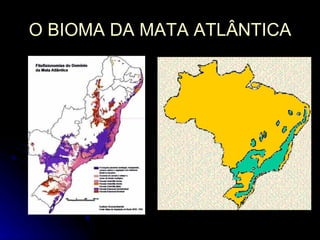 O BIOMA DA MATA ATLÂNTICA 