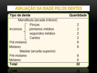 AVALIAÇÃO DA IDADE PELOS DENTES
 
