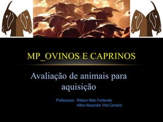 Avaliação de animais para
aquisição
MP_OVINOS E CAPRINOS
Professores: Rildson Melo Fontenele
Hilton Alexandre Vital Carneiro
 