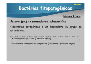 Bactérias

        Bactérias fitopatogênicas
                                                       Nomenclatura

Patovar (pv.) => nomenclatura subespecífica

 Bactérias patogênicas a um hospedeiro ou grupo de
hospedeiros.


 X. axonopodis pv. citri (Cancro Cítrico)

Xanthomonas campestris pv. campestris (crucíferas =>podridão negra).
 