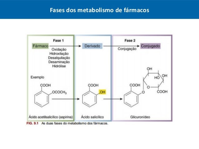 Maniquíes aproximadamente calorias metabolismo basal