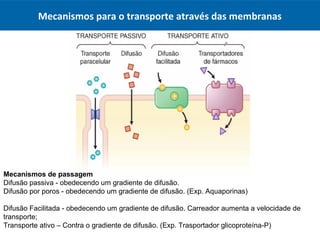 Mecanismos de passagem
Difusão passiva - obedecendo um gradiente de difusão.
Difusão por poros - obedecendo um gradiente de difusão. (Exp. Aquaporinas)
Difusão Facilitada - obedecendo um gradiente de difusão. Carreador aumenta a velocidade de
transporte;
Transporte ativo – Contra o gradiente de difusão. (Exp. Trasportador glicoproteína-P)
Mecanismos para o transporte através das membranas
 