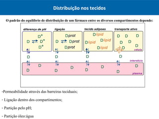 Distribuição nos tecidos
O padrão do equilíbrio de distribuição de um fármaco entre os diversos compartimentos depende:
-Permeabilidade através das barreiras teciduais;
- Ligação dentro dos compartimentos;
- Partição pelo pH;
- Partição óleo:água
 