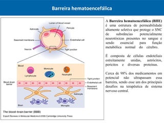 Barreira hematoencefálica
A Barreira hematoencefálica (BHE)
é uma estrutura de permeabilidade
altamente seletiva que protege o SNC
de substâncias potencialmente
neurotóxicas presentes no sangue e
sendo essencial para função
metabólica normal do cérebro.
É composta de células endoteliais
estreitamente unidas, astrócitos,
pericitos e diversas proteínas.
Cerca de 98% dos medicamentos em
potencial não ultrapassam essa
barreira, sendo esse um dos principais
desafios na terapêutica de sistema
nervoso central.
 