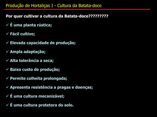 Por quer cultivar a cultura da Batata-doce?????????
 É uma planta rústica;
 Fácil cultivo;
 Elevada capacidade de produção;
 Ampla adaptação;
 Alta tolerância a seca;
 Baixo custo de produção;
 Permite colheita prolongada;
 Apresenta resistência a pragas e doenças;
 É uma cultura mecanizável;
 É uma cultura protetora do solo.
Produção de Hortaliças I - Cultura da Batata-doce
 
